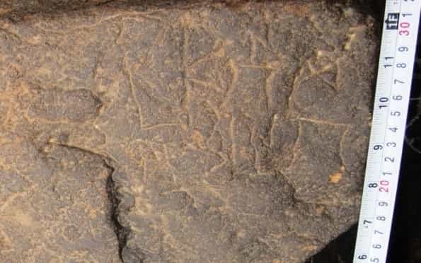 الشرعي جبل العرق 109